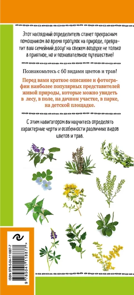 Blumen und Kräuter. Die Welt der erstaunlichen Pflanzen