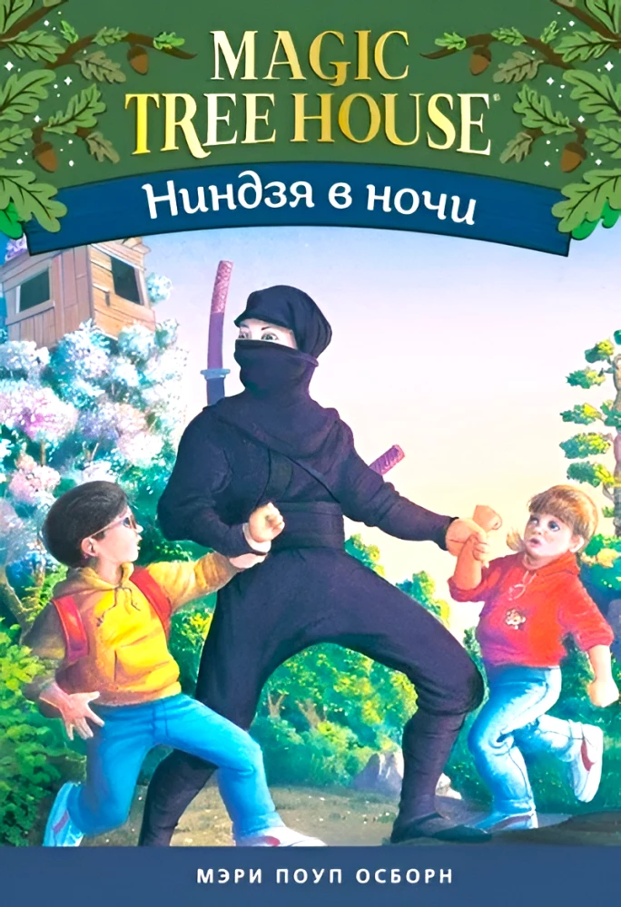 Ninja in der Nacht