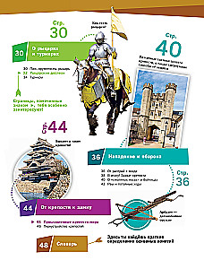 CASTLES. Life in a Medieval Fortress