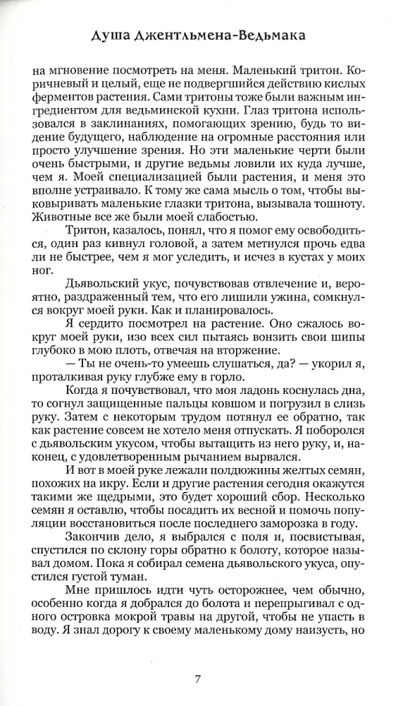 The Soul of the Gentleman-Witcher