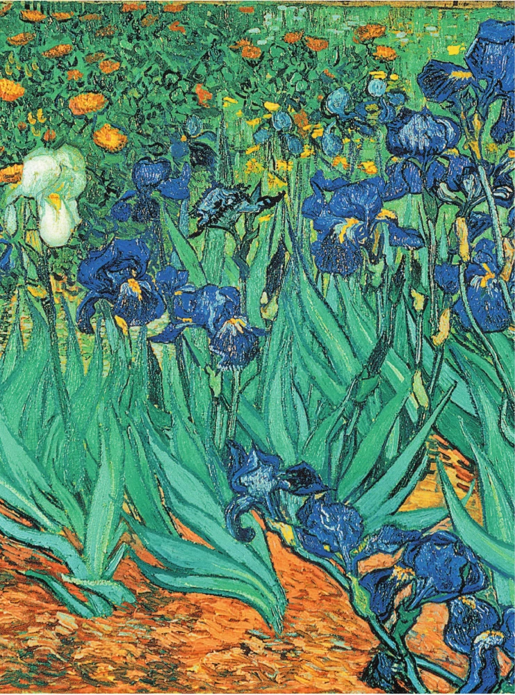 Van Gogs. Dzīve un radošums 500 gleznās