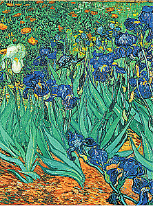 Van Gogs. Dzīve un radošums 500 gleznās