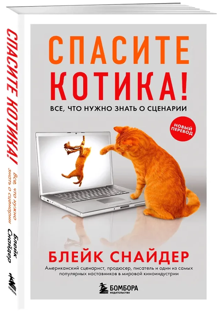 Спасите котика! Все, что нужно знать о сценарии