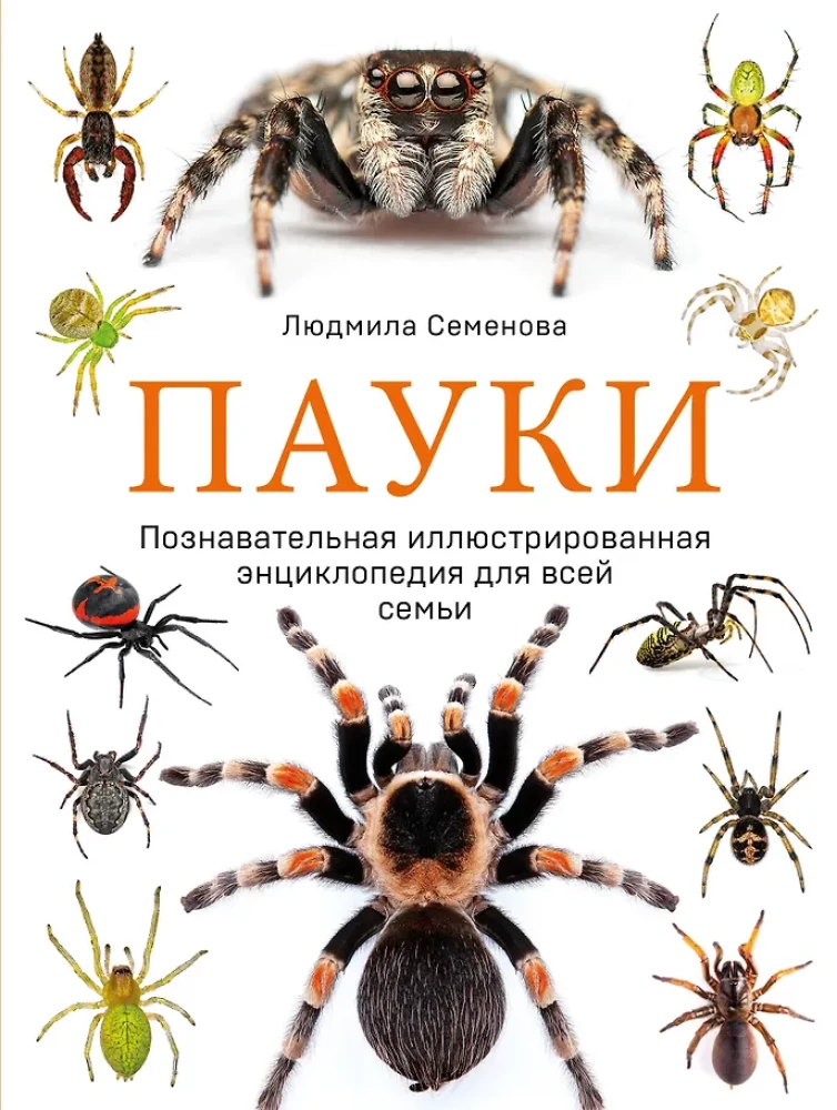 Pająki. Ilustrowana encyklopedia dla całej rodziny