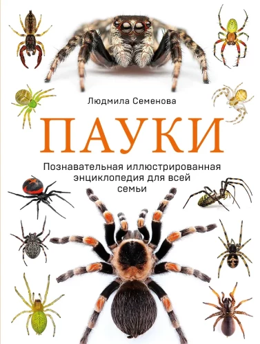 Pająki. Ilustrowana encyklopedia dla całej rodziny