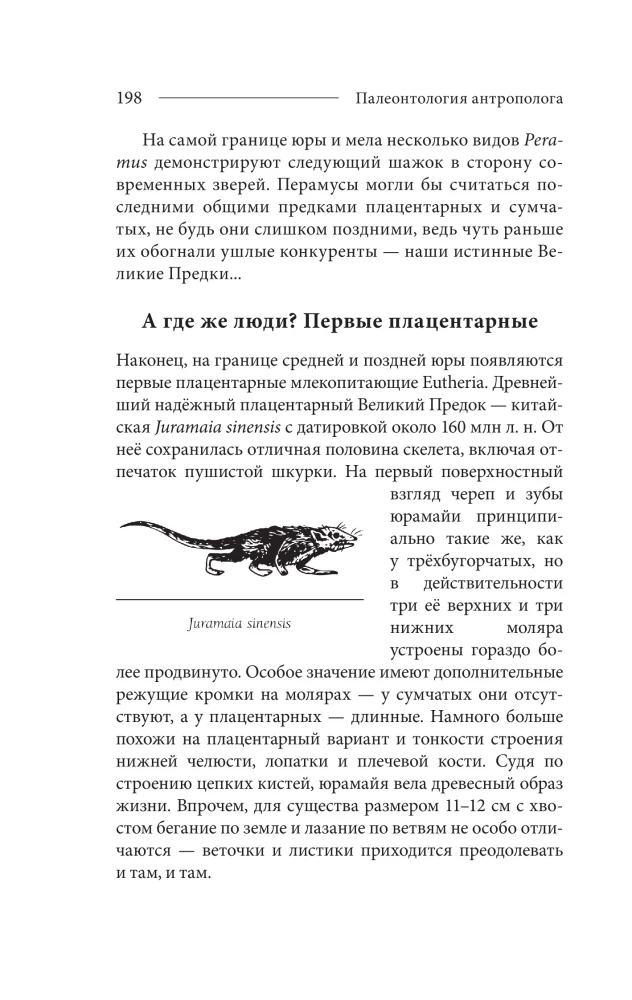 Paleontologija antropologo. Tomas 2. Mezozojus