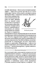 Paleontologija antropologo. Tomas 2. Mezozojus