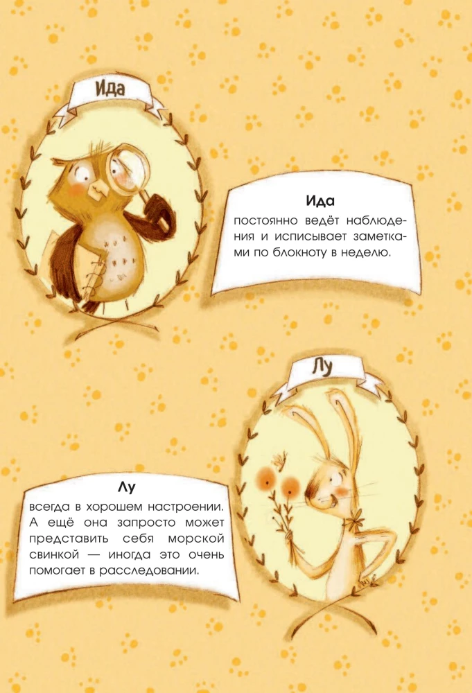 Biuro detektywistyczne Sowy. Gdzie zniknęła Babcia Plusz?