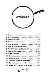 Zagadka znikającej pumy