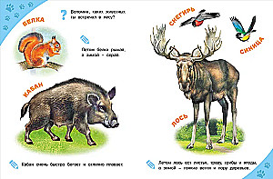 Leśne zwierzęta