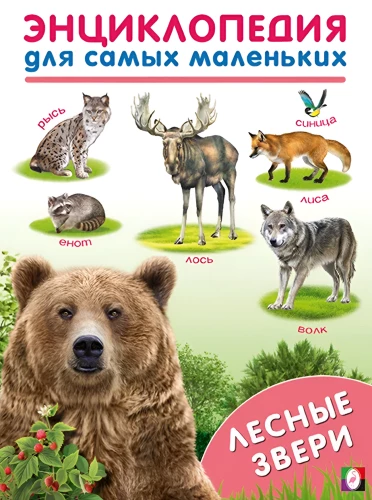 Leśne zwierzęta