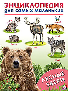 Leśne zwierzęta