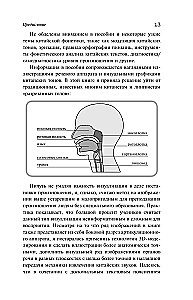 Лаовай говорит! Практическая фонетика современного китайского языка