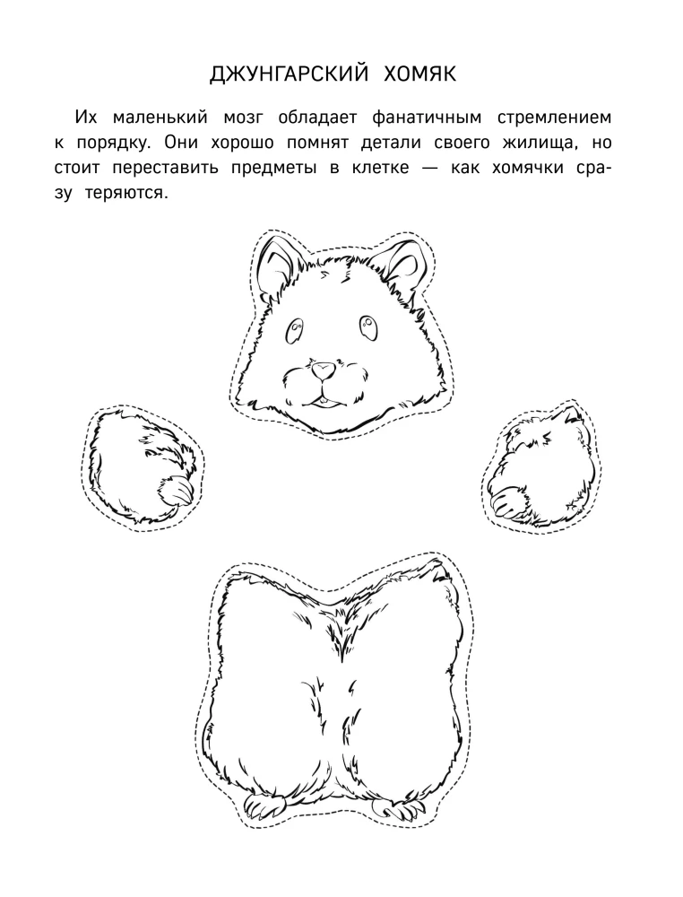 Бумажные грызуны. Вырежи, раскрась, играй. 12 готовых схем