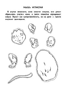 Бумажные грызуны. Вырежи, раскрась, играй. 12 готовых схем