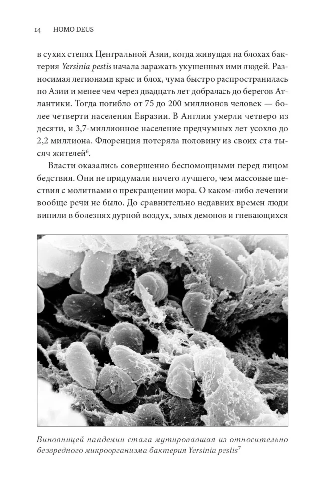 Homo Deus. Краткая история будущего