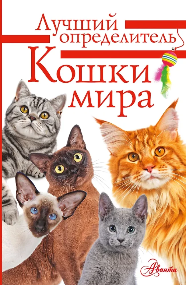Cats of the World. The Best Guide