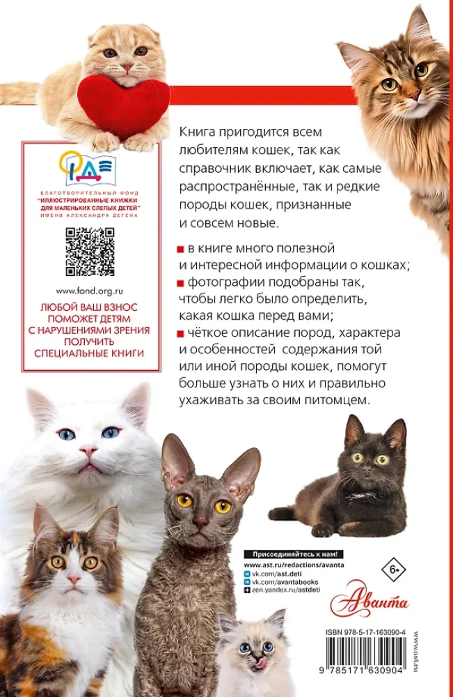 Cats of the World. The Best Guide