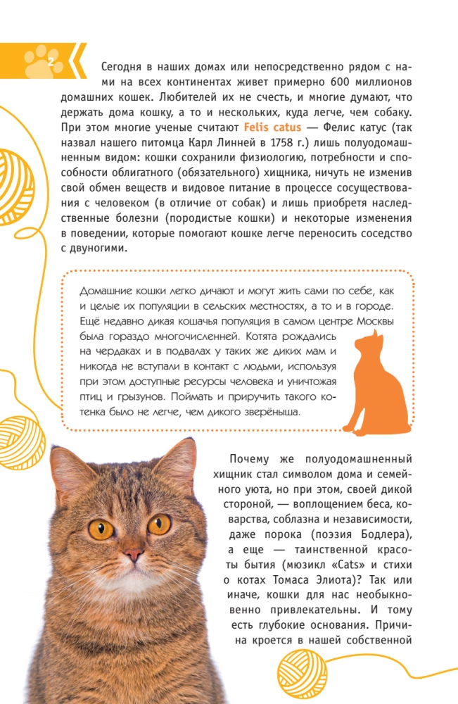Cats of the World. The Best Guide