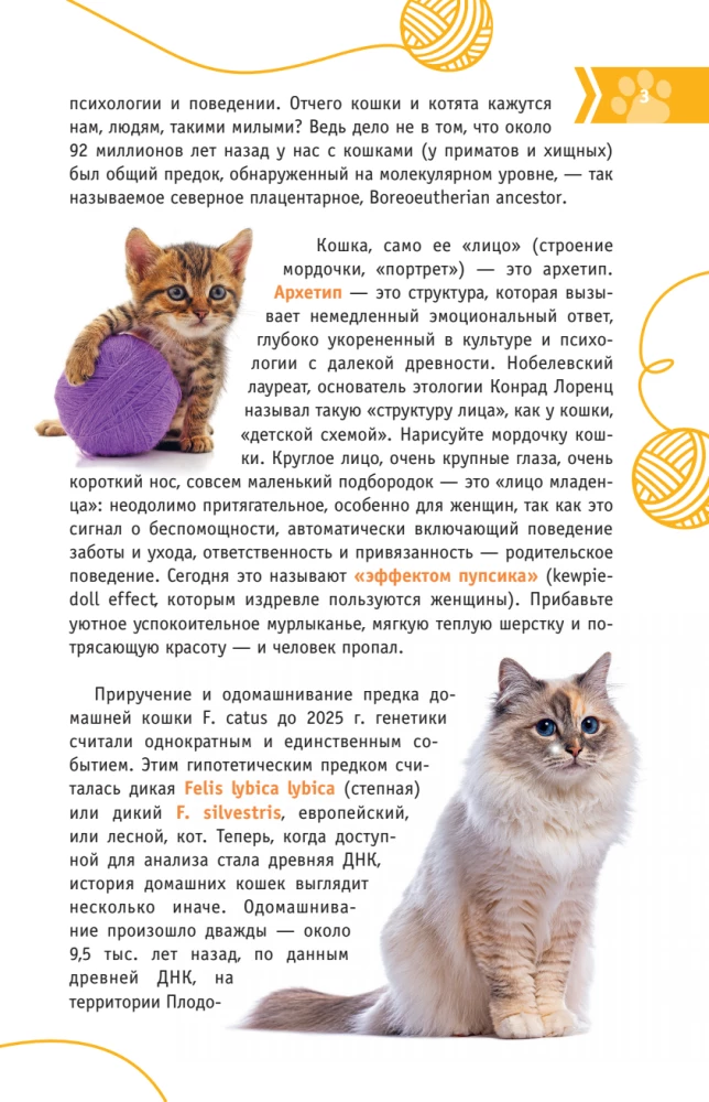 Cats of the World. The Best Guide