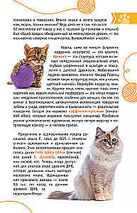 Cats of the World. The Best Guide
