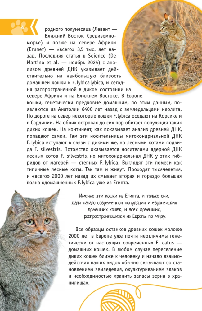 Cats of the World. The Best Guide