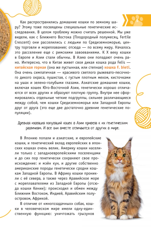 Cats of the World. The Best Guide
