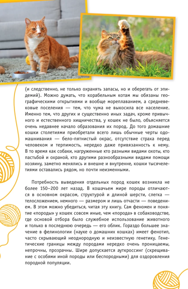Cats of the World. The Best Guide