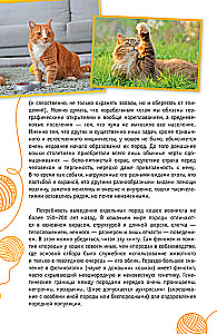 Cats of the World. The Best Guide