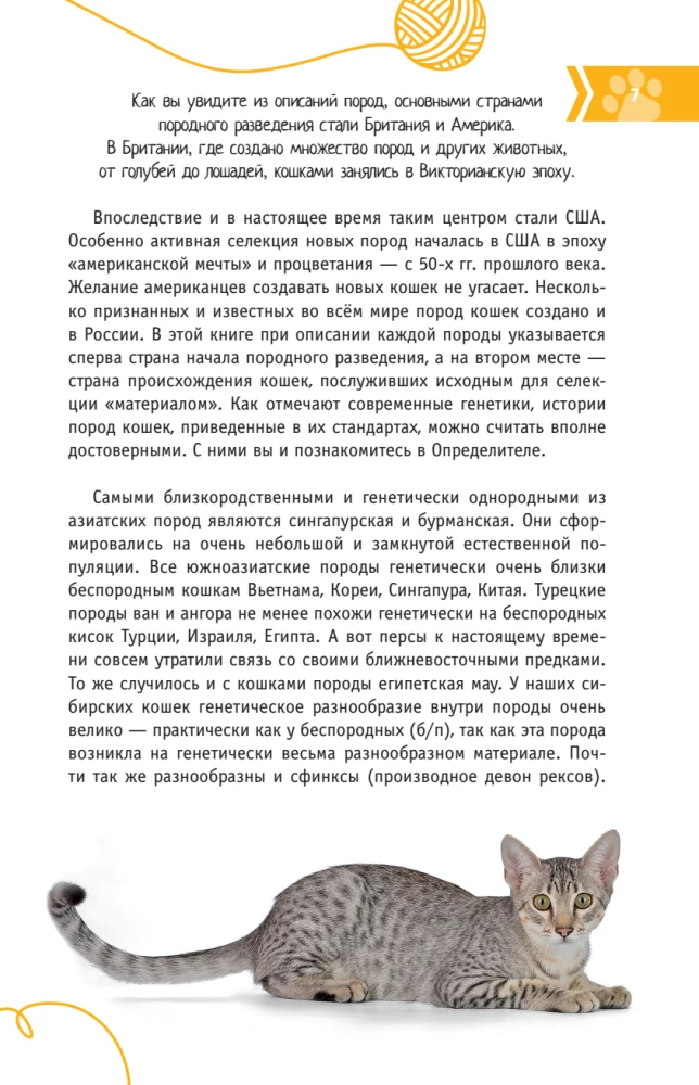 Cats of the World. The Best Guide