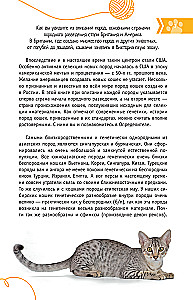 Cats of the World. The Best Guide