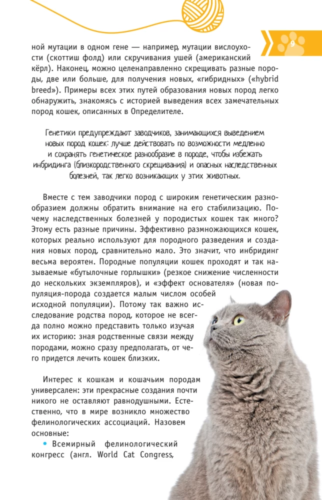 Cats of the World. The Best Guide
