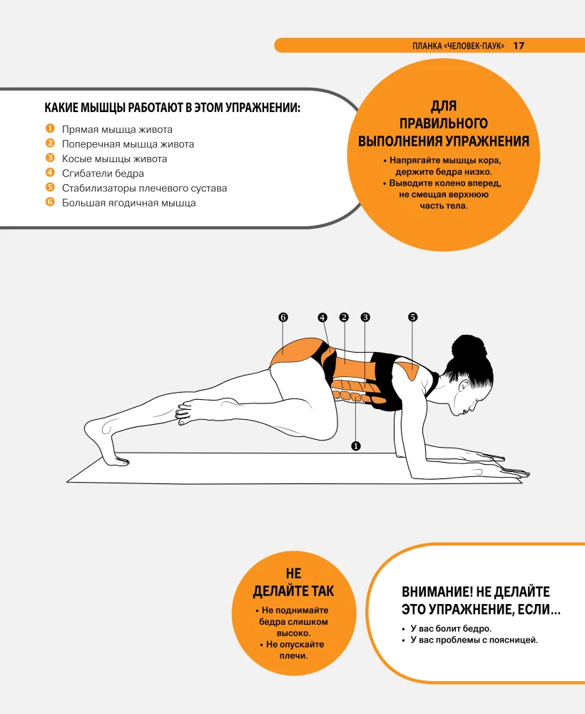 Pilates ant kilimėlio. Iliustruota praktika patogiems namų treniruotėms