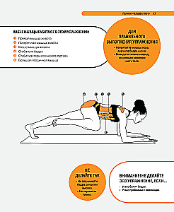 Pilates ant kilimėlio. Iliustruota praktika patogiems namų treniruotėms