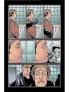 Marvel Knights. The Punisher. Volume 2