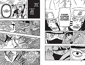 Naruto. Naruto. Buch 22. Der Zehnschwänzige
