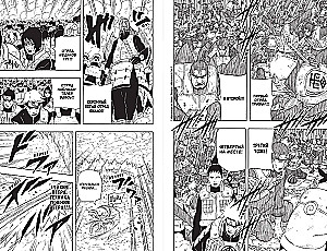 Naruto. Naruto. Buch 22. Der Zehnschwänzige
