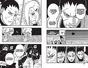 Naruto. Naruto. Buch 22. Der Zehnschwänzige