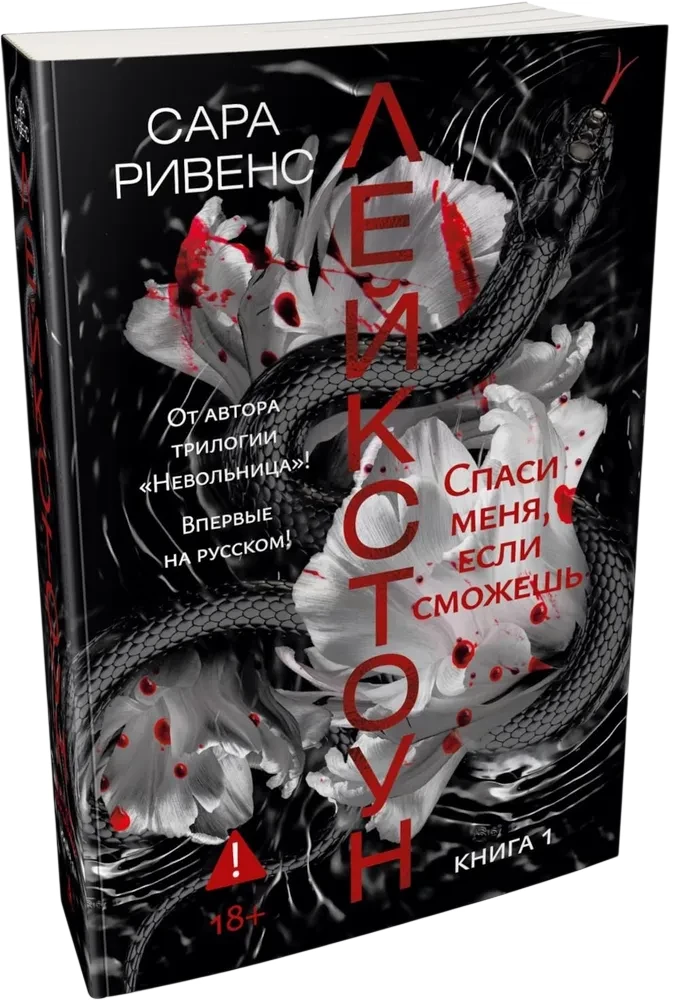 LakeStone. Book 1. Save Me If You Can