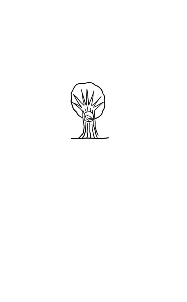 Strange Pictures