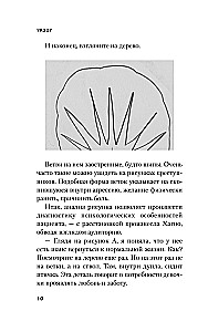 Strange Pictures