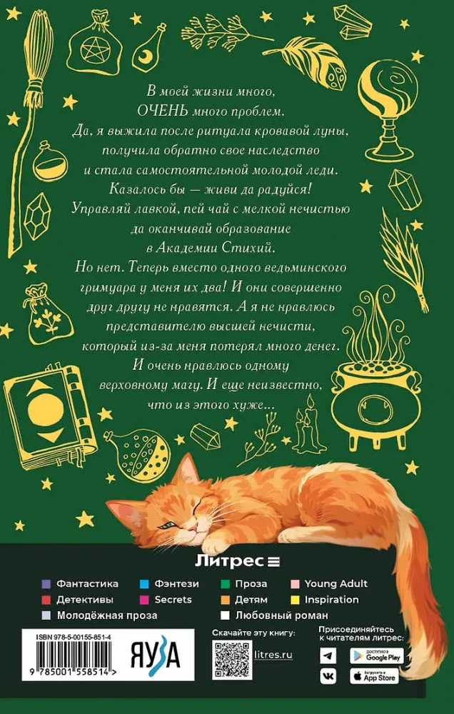 The Mistress of the Magic Shop. Book 3