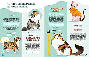 Все-все-все домашние питомцы