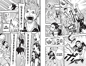 Volleyball! Book 4. Evolution. No Longer the Lonely King