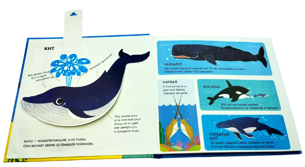 Underwater World. A Tactile Panorama Book
