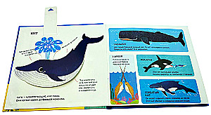 Underwater World. A Tactile Panorama Book