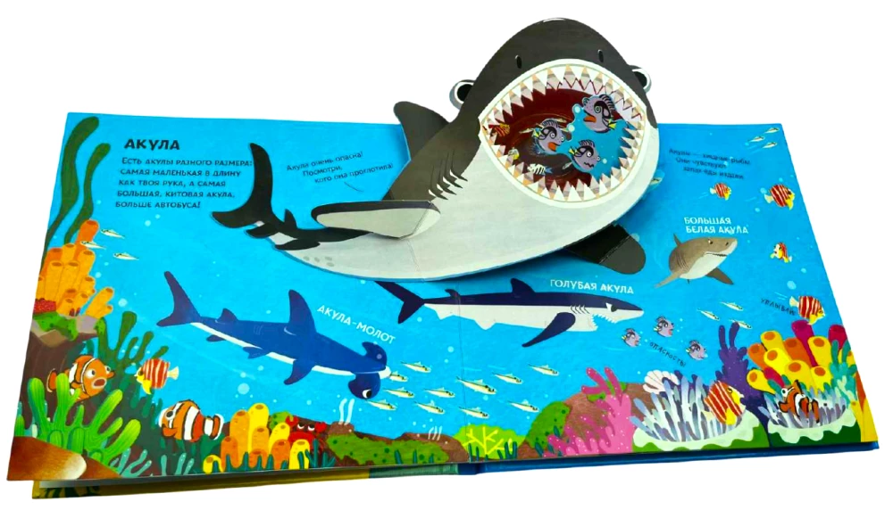 Underwater World. A Tactile Panorama Book