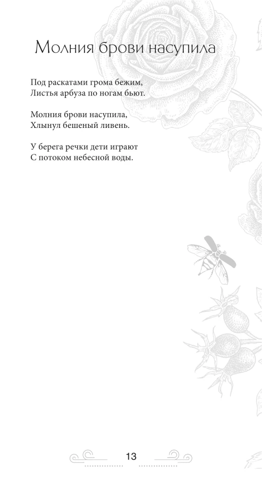 Golden-Winged Beetle