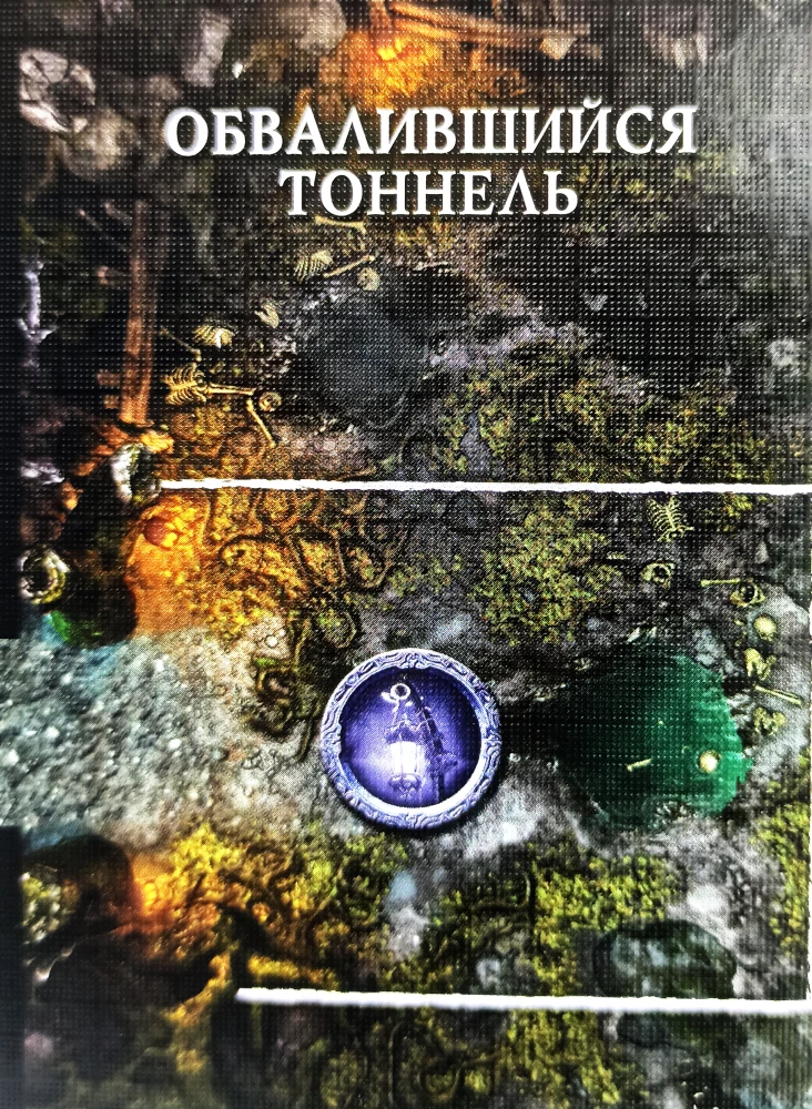 Board game - Bloodborne. Forbidden Forest (expansion)