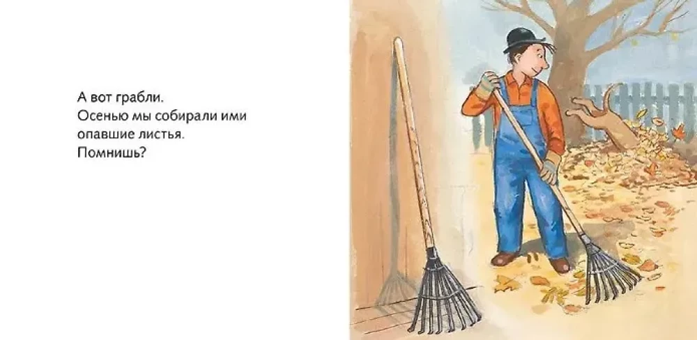 Where is our shovel?
